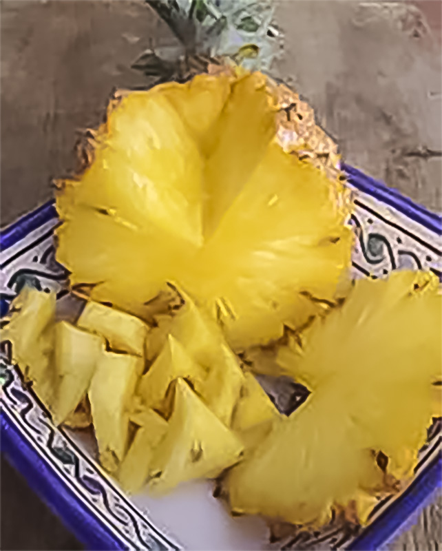 L’Ananas, fruit d’Ananas comosus