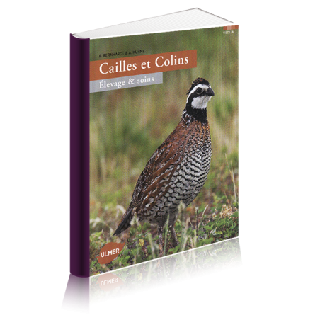 Cailles et Colins, élevage et soins
