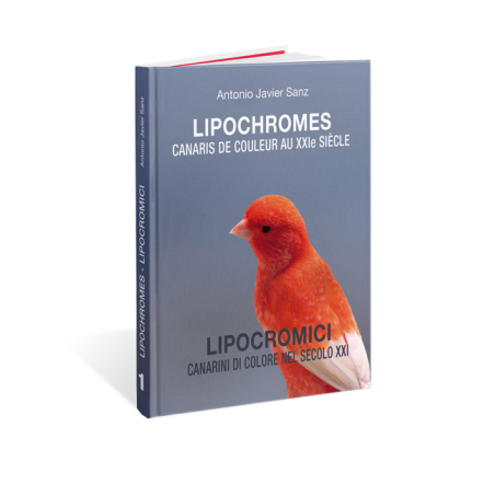 Lipochromes, Canaris de couleur au XXIè siècle