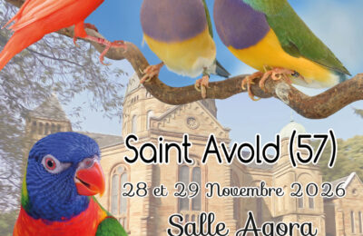 Championnat de France Saint Avold 2026