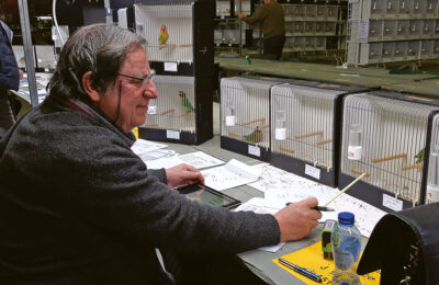 Classements compétiteurs, faisons les comptes