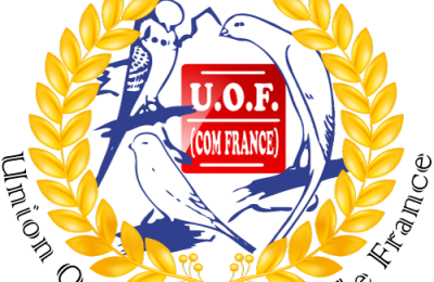 Compétiteurs, Interclubs, équipe de France UOF 2021-2022 : les résultats définitifs