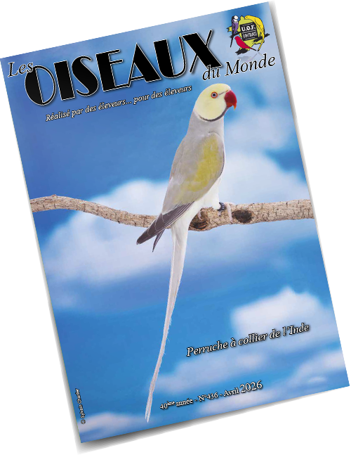 Sommaire du mois d’Avril 2026