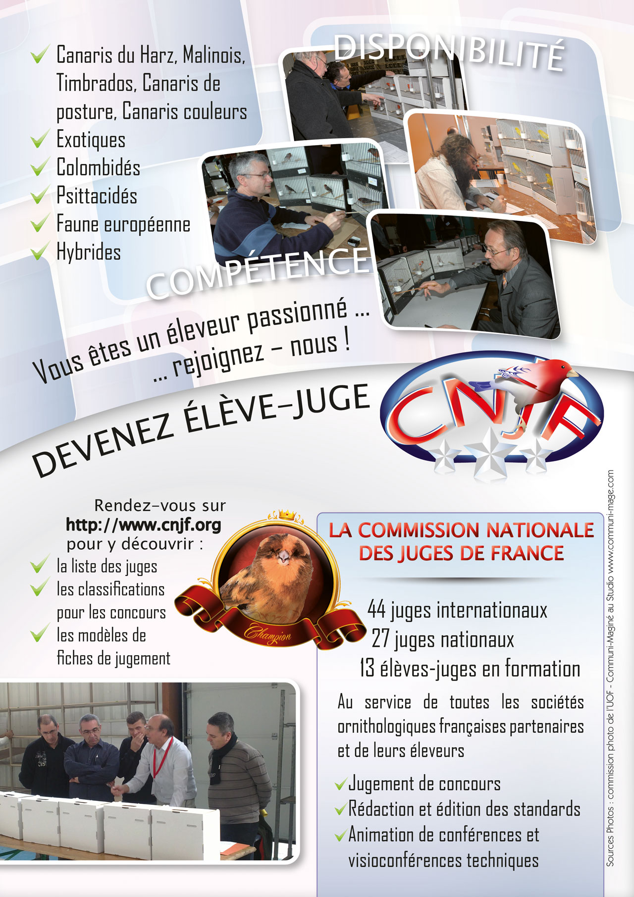 Pub-CNJF