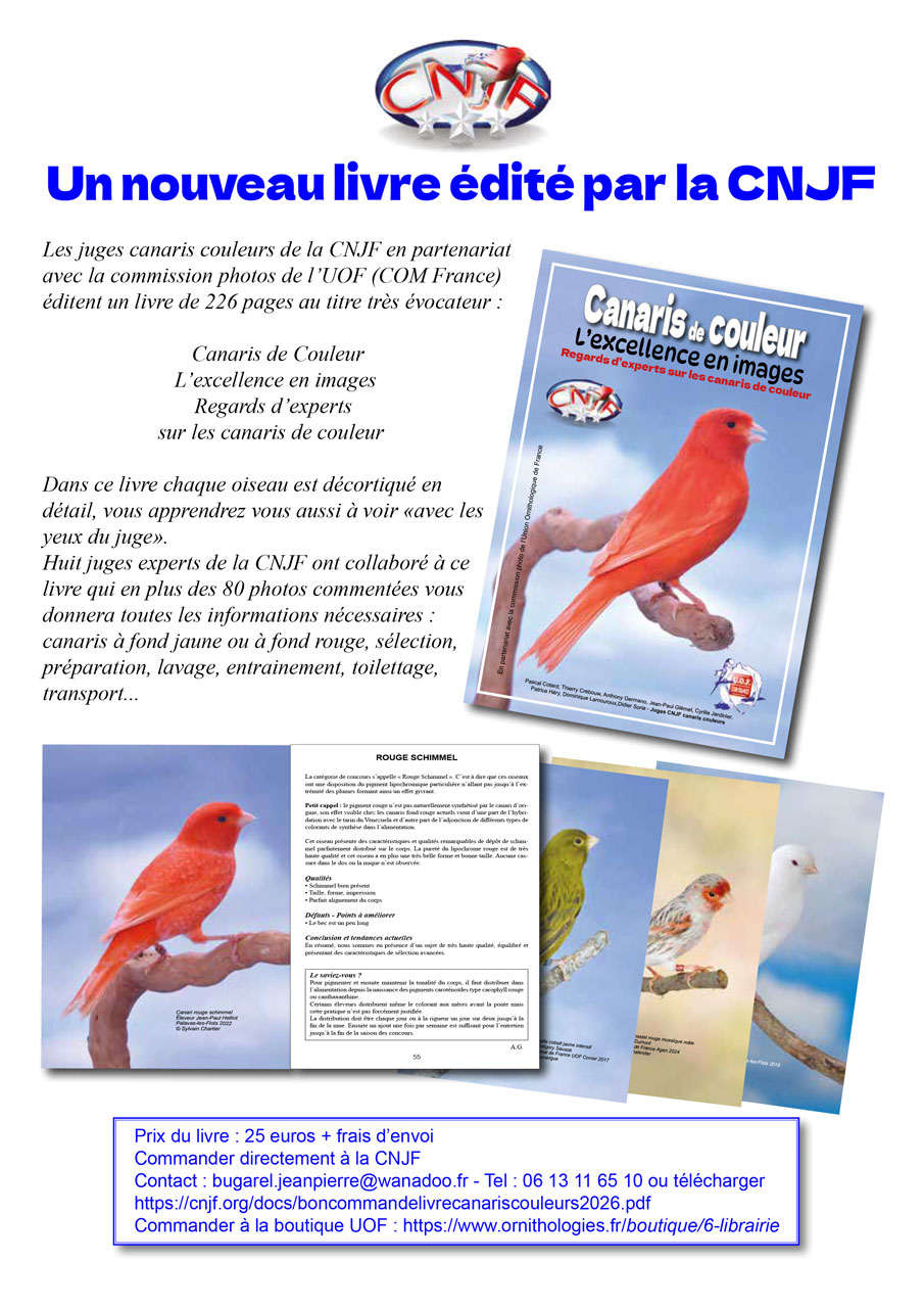 Pub-Canaris-de-couleur-CNJF