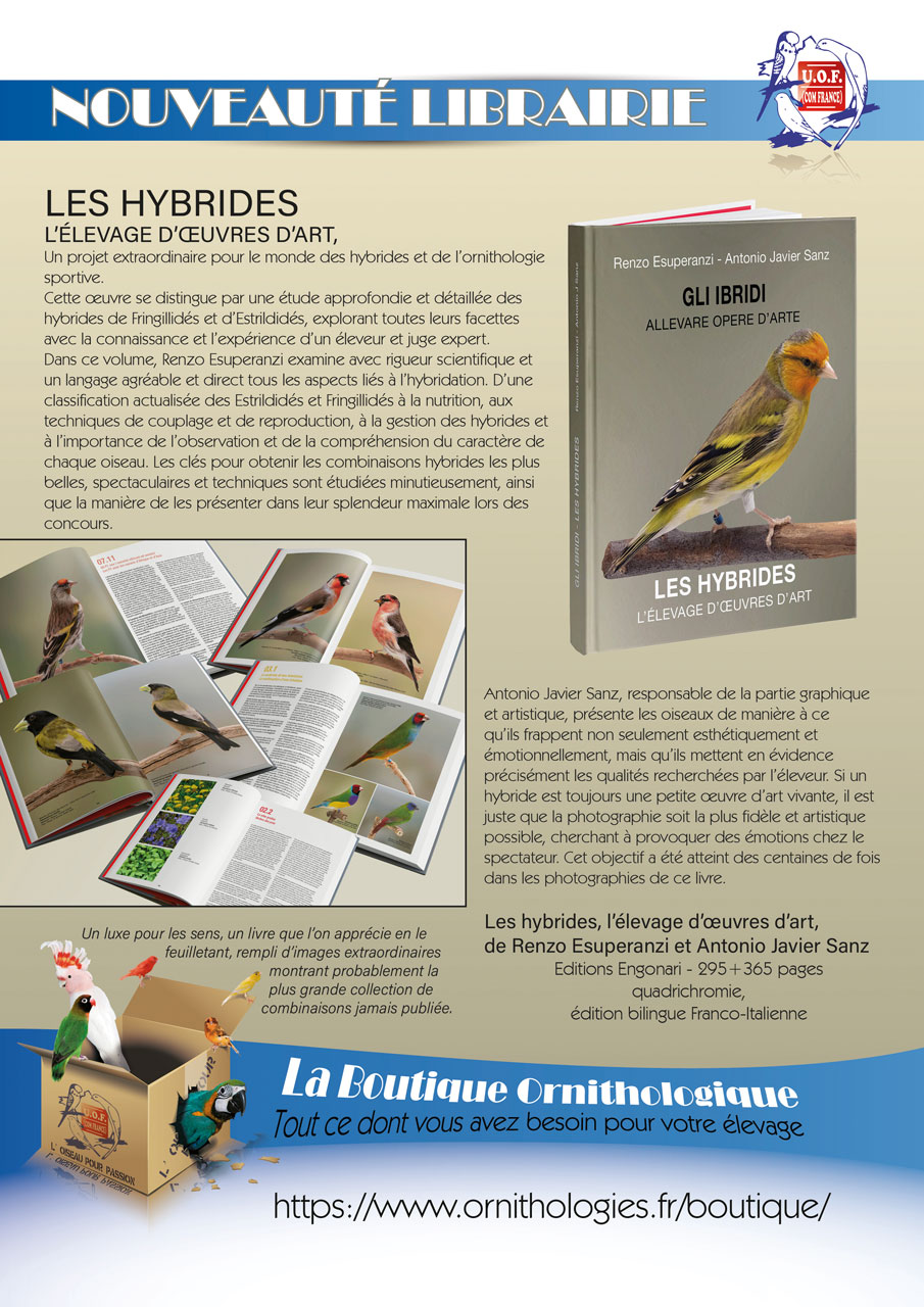 Pub-Hybrides