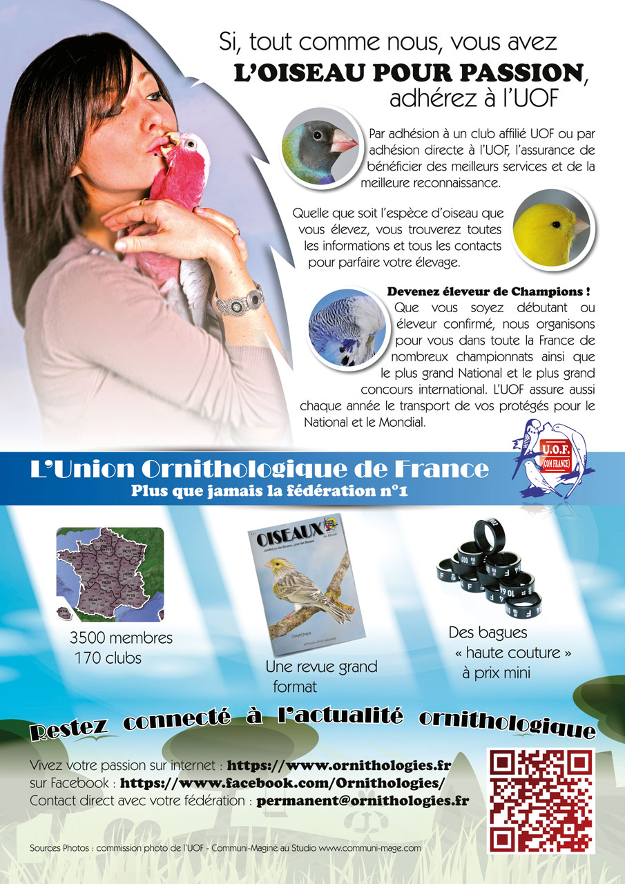 Pub-UOF-web