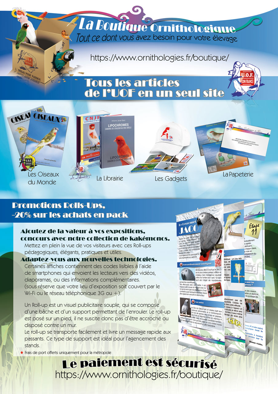 Pub-boutique
