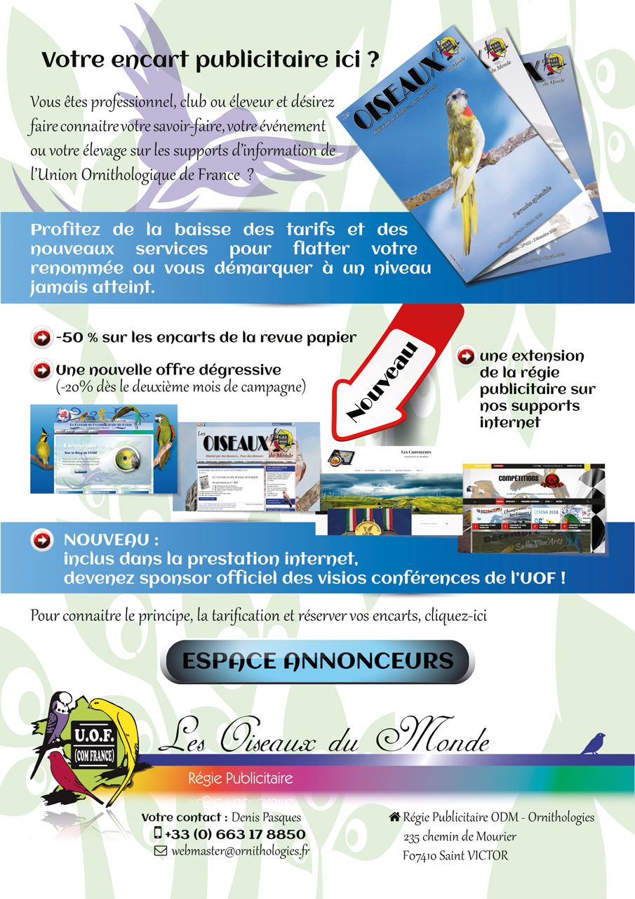 Pub-regie