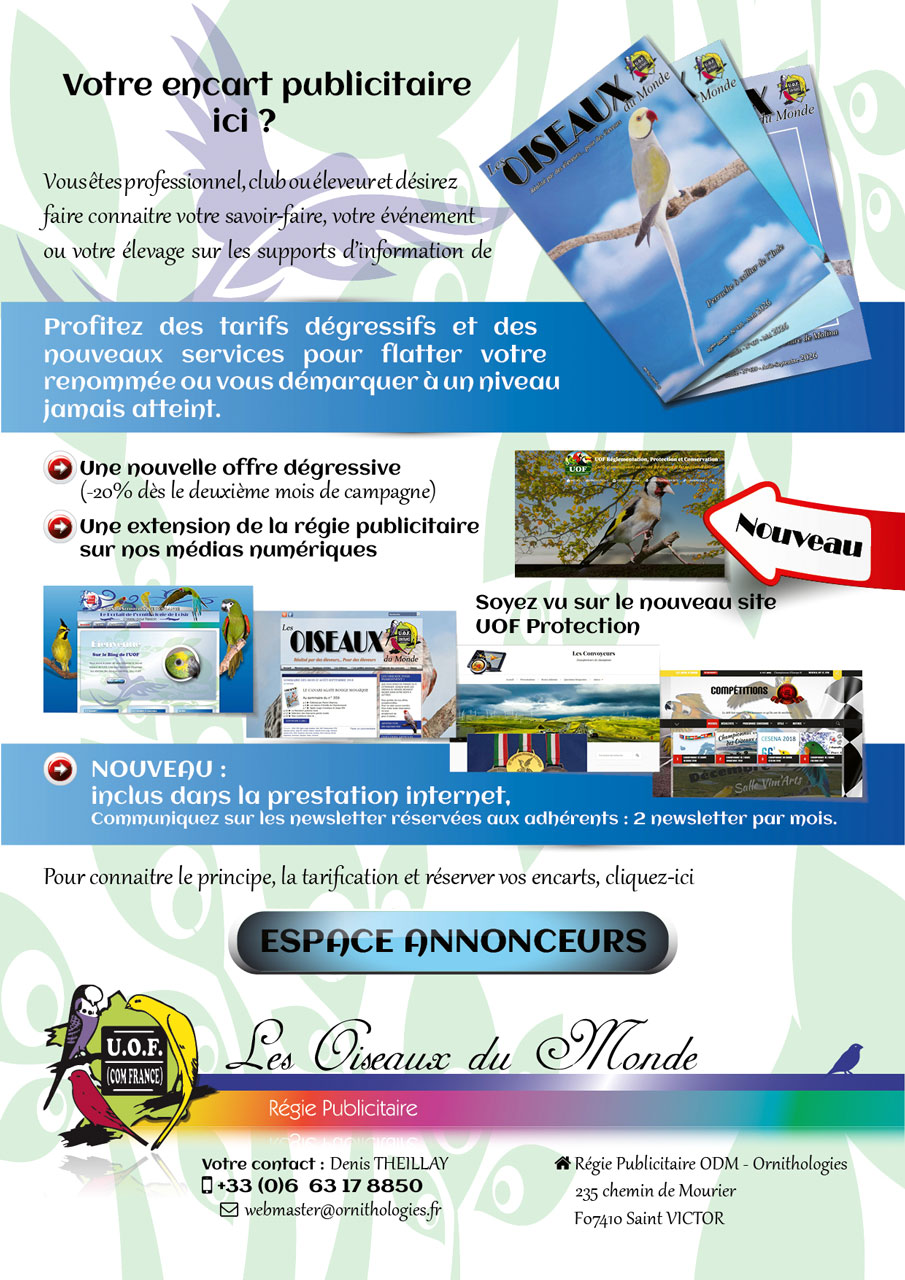 Encart-regie-pour-le-web