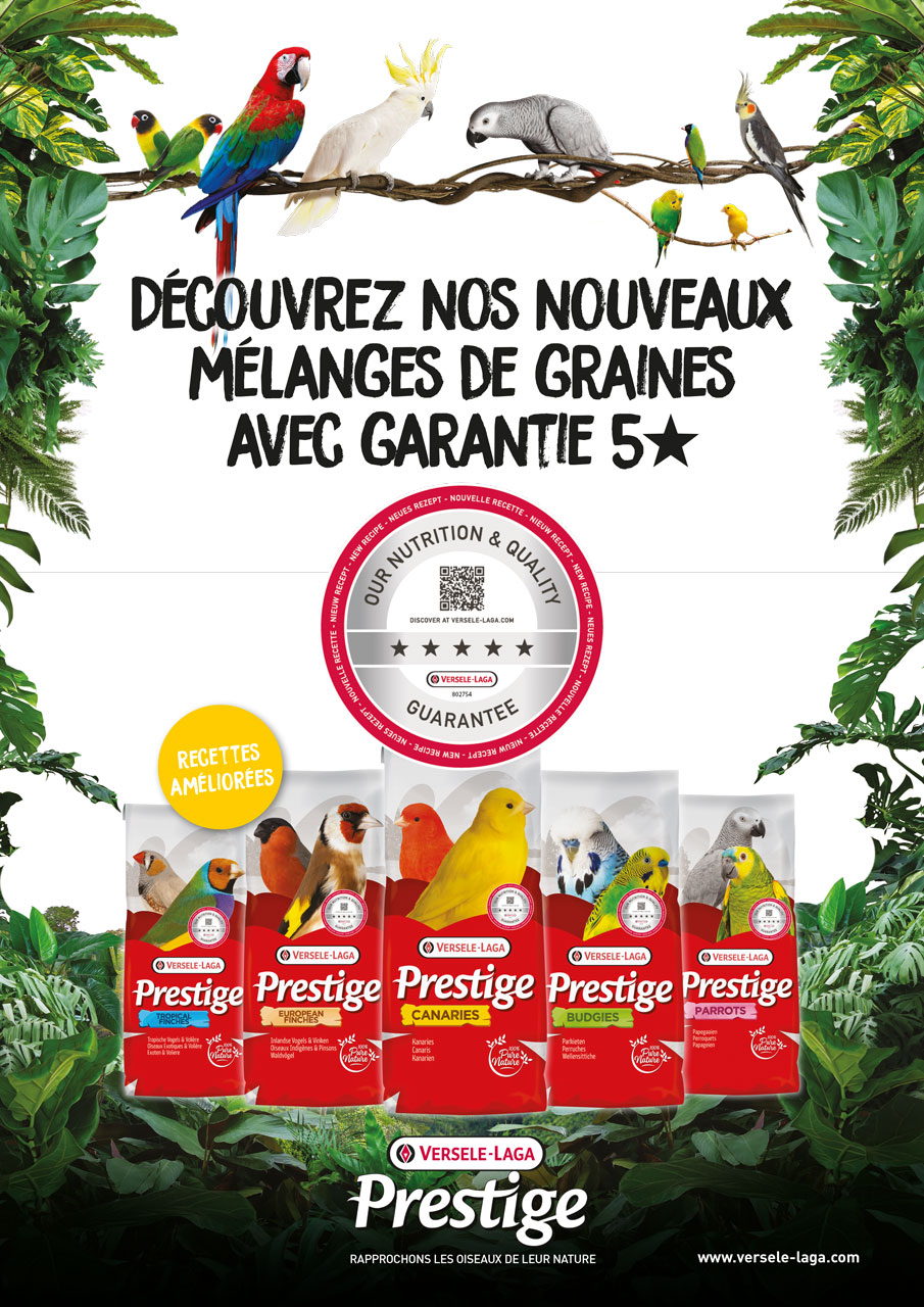Versele-Laga-2026
