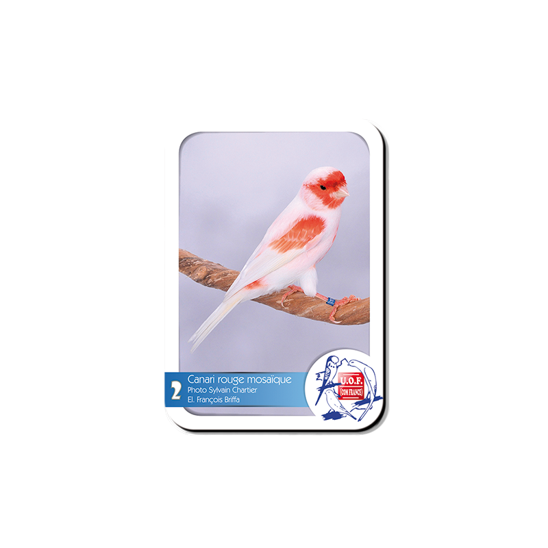 Magnet Canari rouge mosaïque