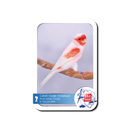 Magnet Canari rouge mosaïque