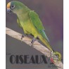 Les Oiseaux du Monde n°410