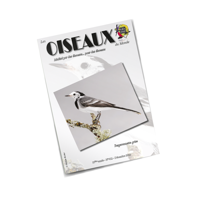 Les Oiseaux du Monde n°412