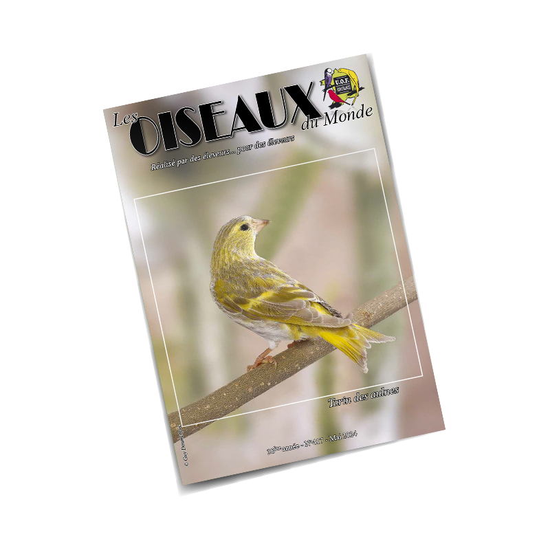 Les Oiseaux du Monde n°417