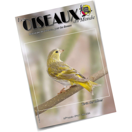 Les Oiseaux du Monde n°417