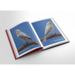 Nouvelles couleurs (I), Canaris de couleurs au XXIè siècle