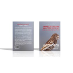 Nouvelles couleurs (I), Canaris de couleurs au XXIè siècle