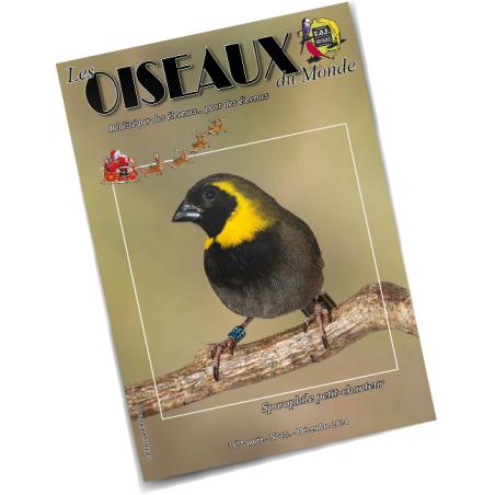 Les Oiseaux du Monde n°422