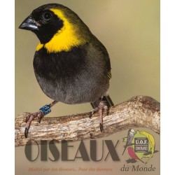 Les Oiseaux du Monde n°422