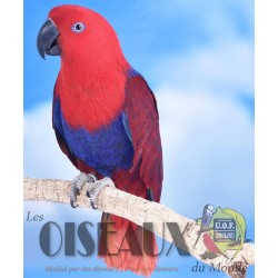 Les Oiseaux du Monde n°424