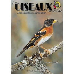 Les Oiseaux du Monde n°425
