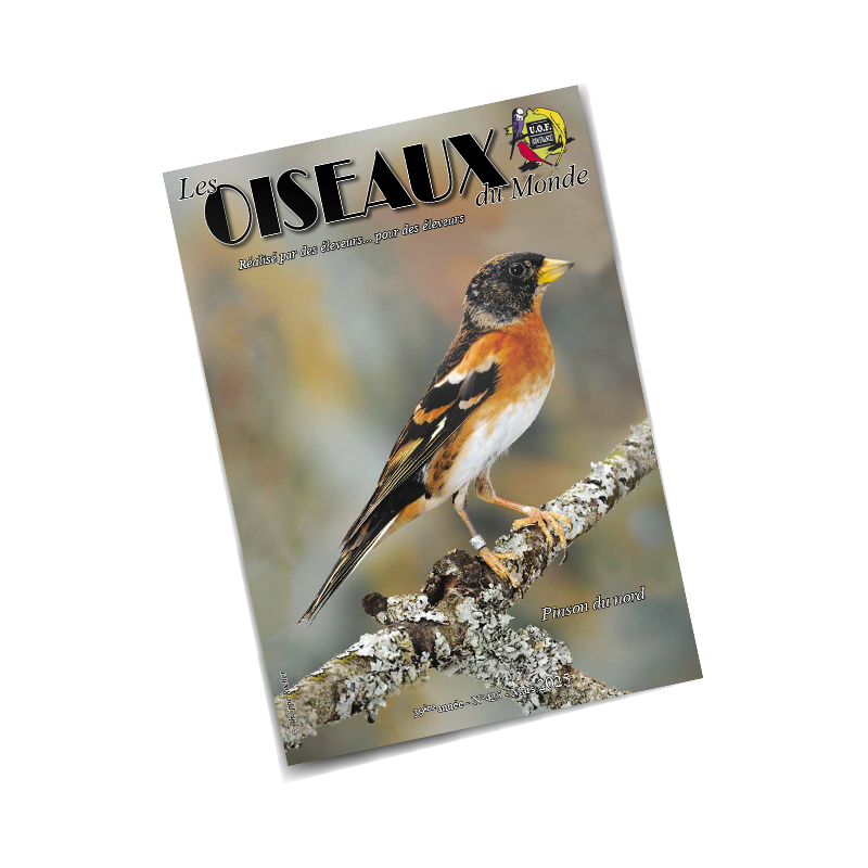 Les Oiseaux du Monde n°425