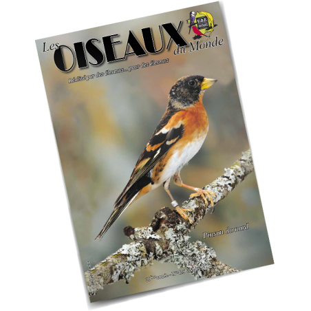 Les Oiseaux du Monde n°425