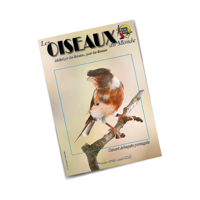 Les Oiseaux du Monde n°426