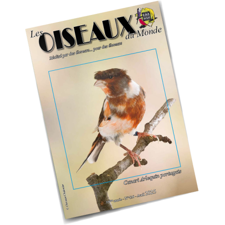 Les Oiseaux du Monde n°426