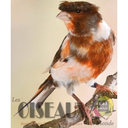 Les Oiseaux du Monde n°426