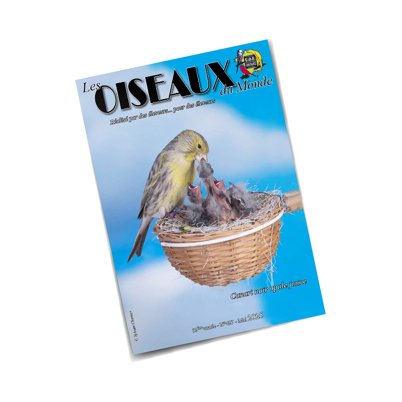 Les Oiseaux du Monde n°427 Les Oiseaux du Monde n°427
