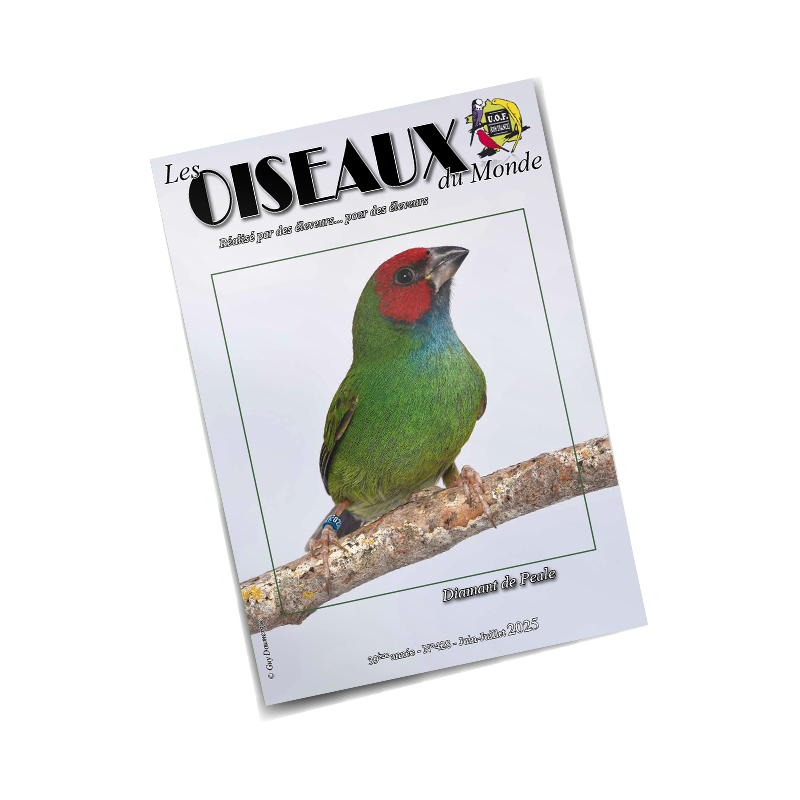 Les Oiseaux du Monde n°428