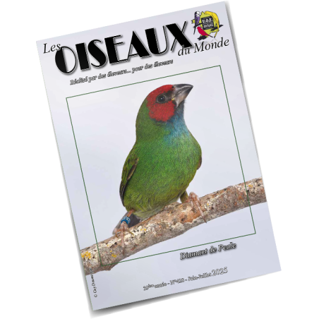 Les Oiseaux du Monde n°428