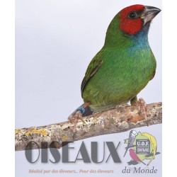 Les Oiseaux du Monde n°428