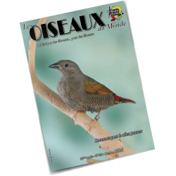 Les Oiseaux du Monde n°430
