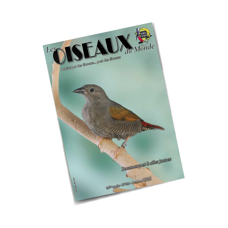 Les Oiseaux du Monde n°430