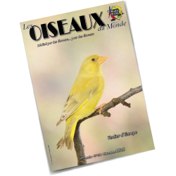 Les Oiseaux du Monde n°431