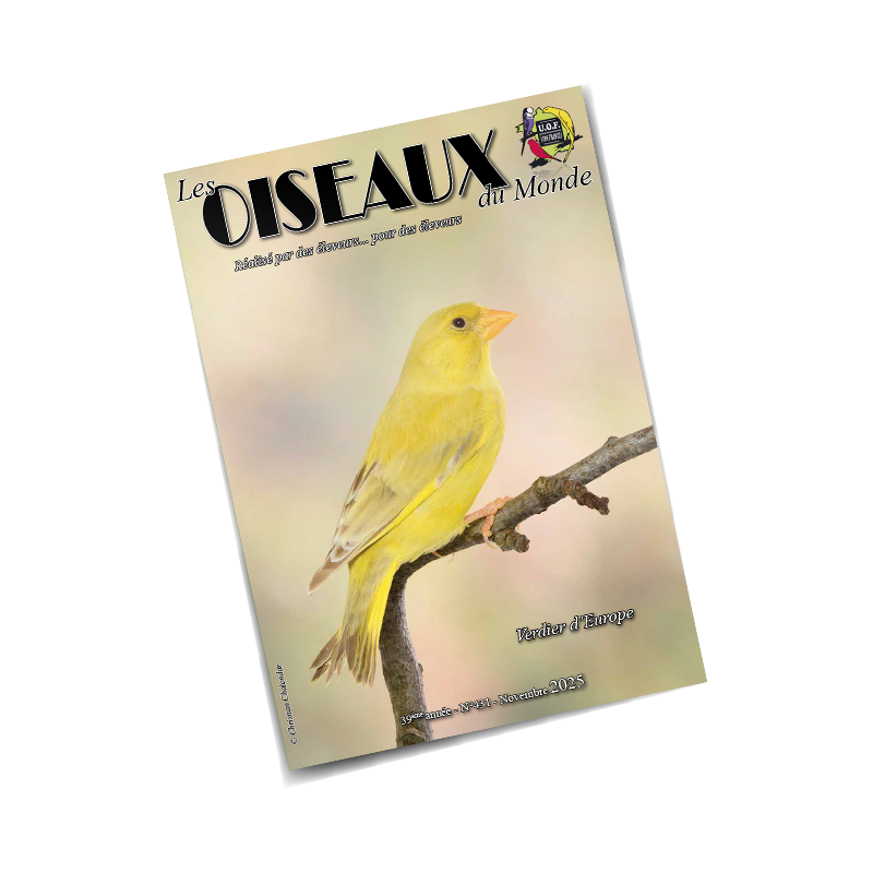 Les Oiseaux du Monde n°431