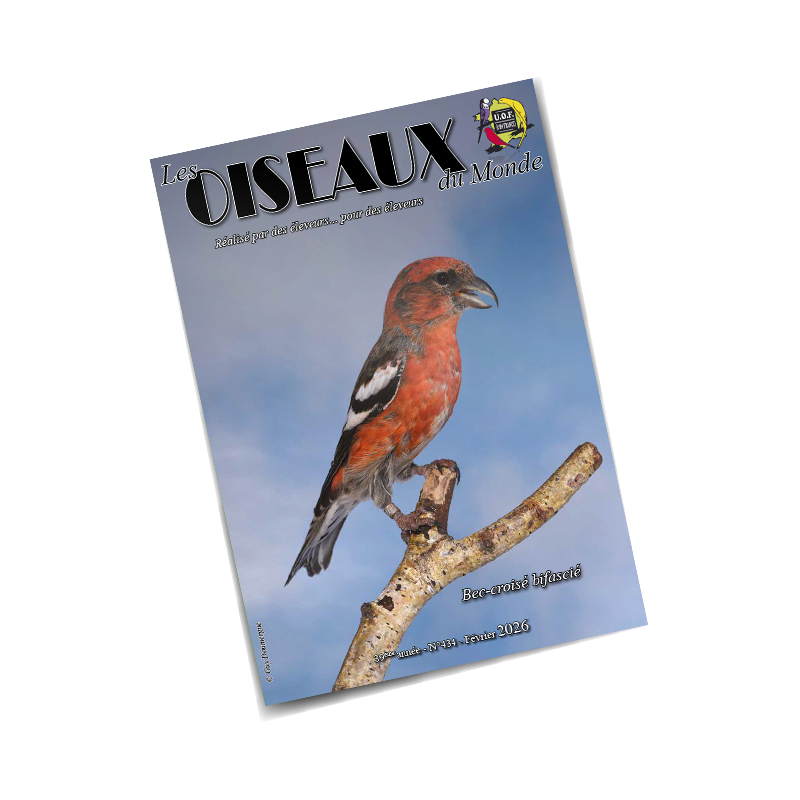 Les Oiseaux du Monde n°434