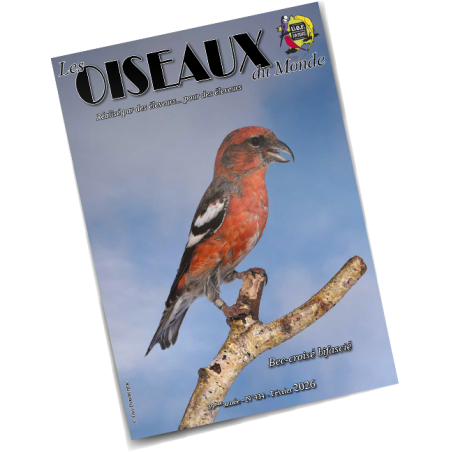Les Oiseaux du Monde n°434