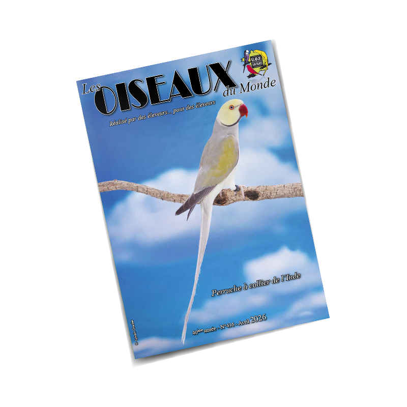 Les Oiseaux du Monde n°436