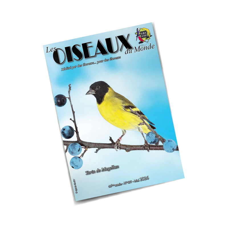 Les Oiseaux du Monde n°437