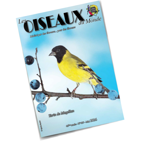 Les Oiseaux du Monde n°437