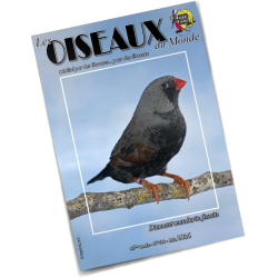Les Oiseaux du Monde n°438