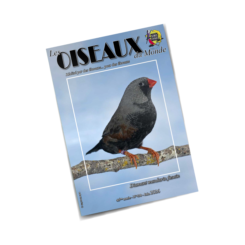 Les Oiseaux du Monde n°438
