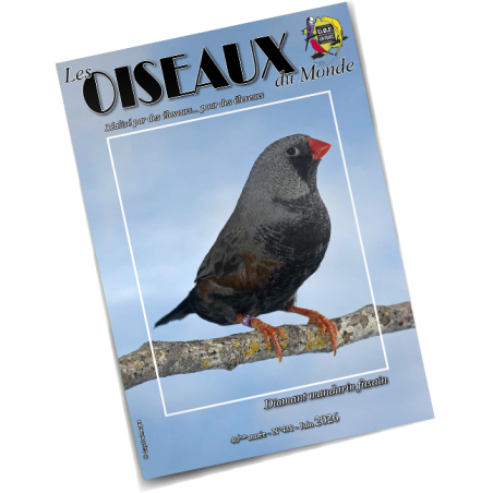 Les Oiseaux du Monde n°438