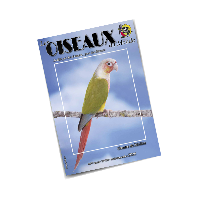 Les Oiseaux du Monde n°439