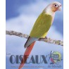 Les Oiseaux du Monde n°439